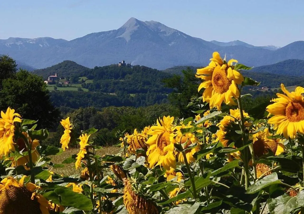 度假居 Domaine Pyrenees Passions - Gites De Charmes & Caractere Estadens