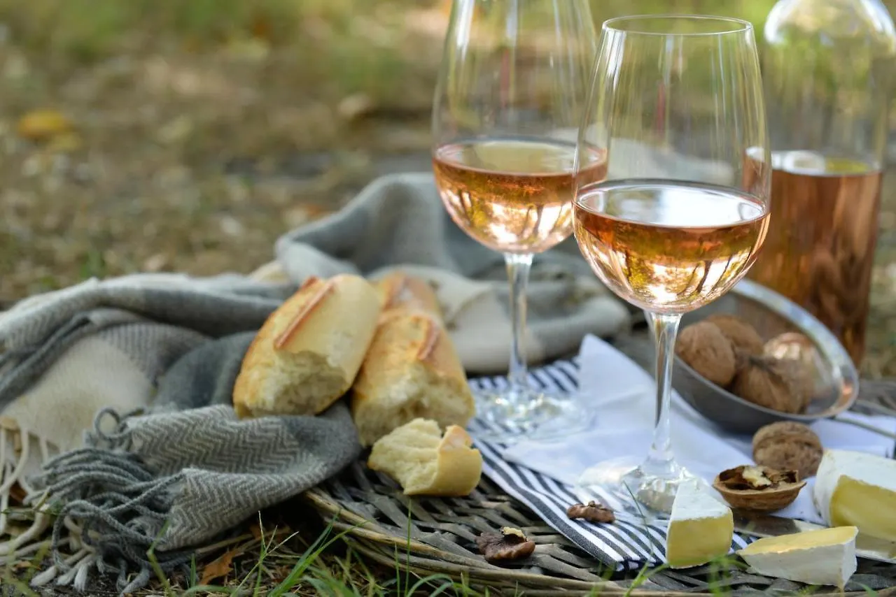 Domaine Pyrenees Passions - Gites De Charmes & Caractere Estadens 0*,  法国